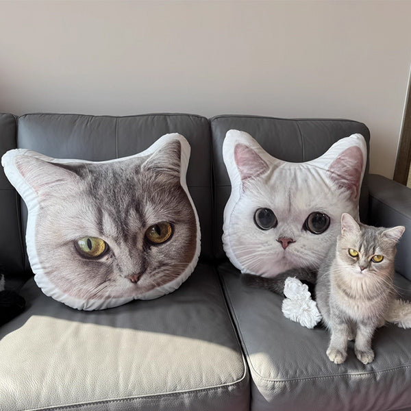 Custom Cat Pillow