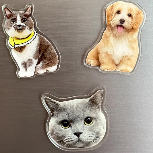 Custom Fridge Magnets, Personalized Magnets for Bulk Purchase