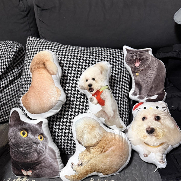 Custom Cat Pillow