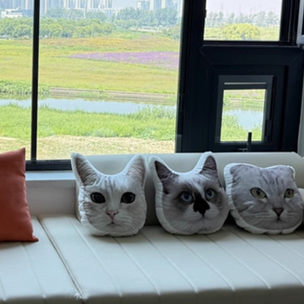 Custom Cat Pillow