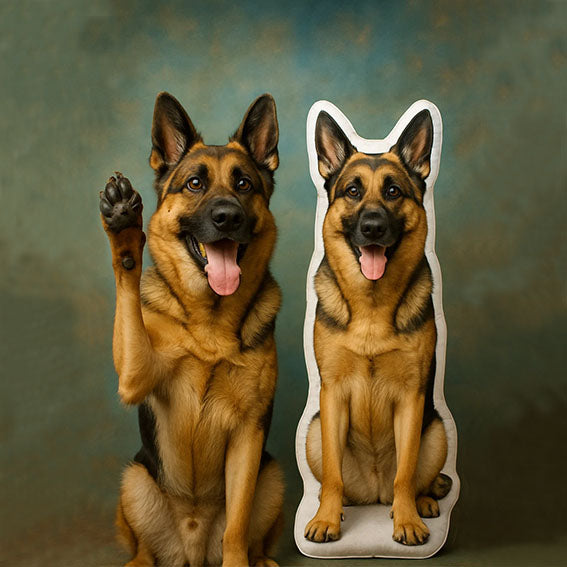 Custom Dog Pillow