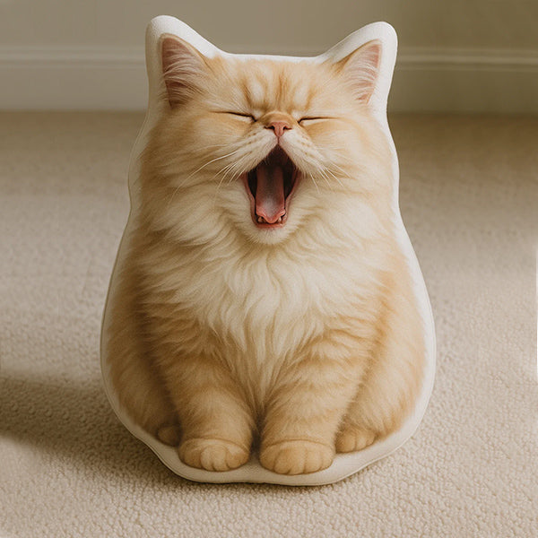 Custom Cat Pillow