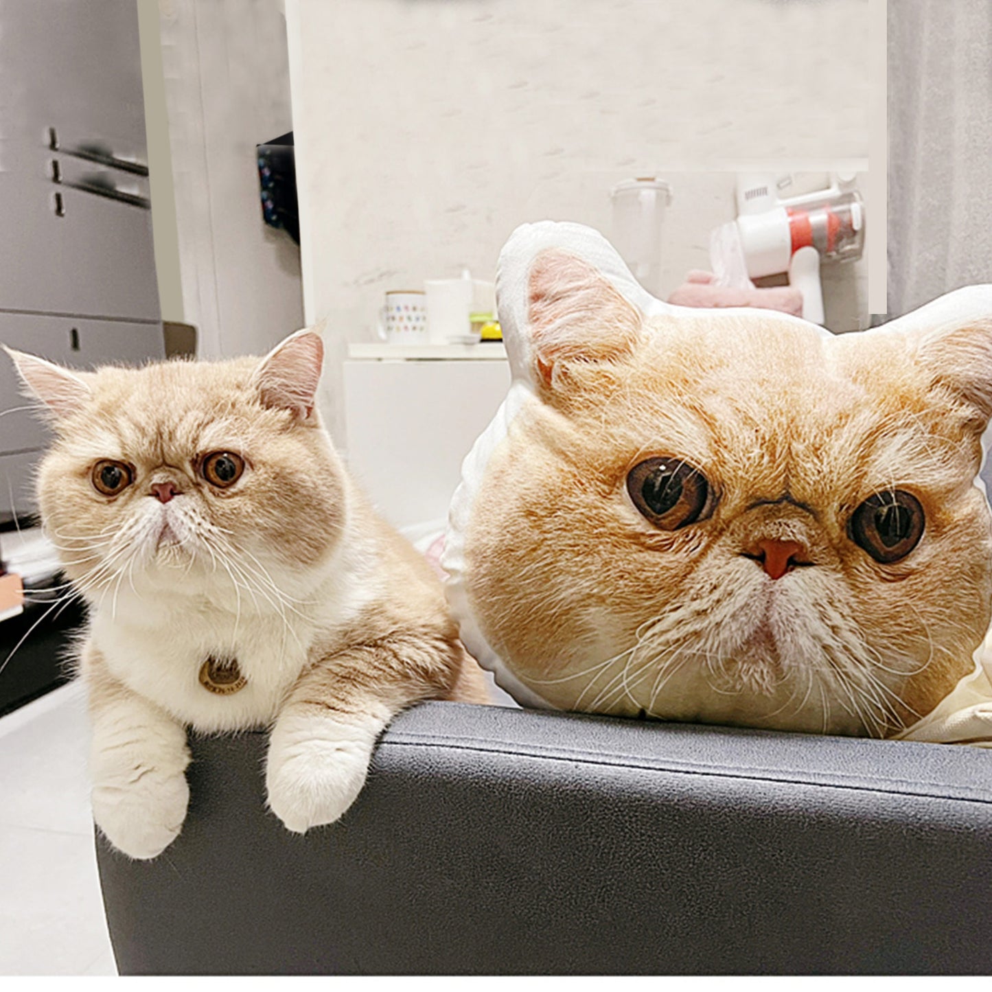 A playful orange cat perched on the edge of the sofa, next to a pillow printed with his adorable mugshot.