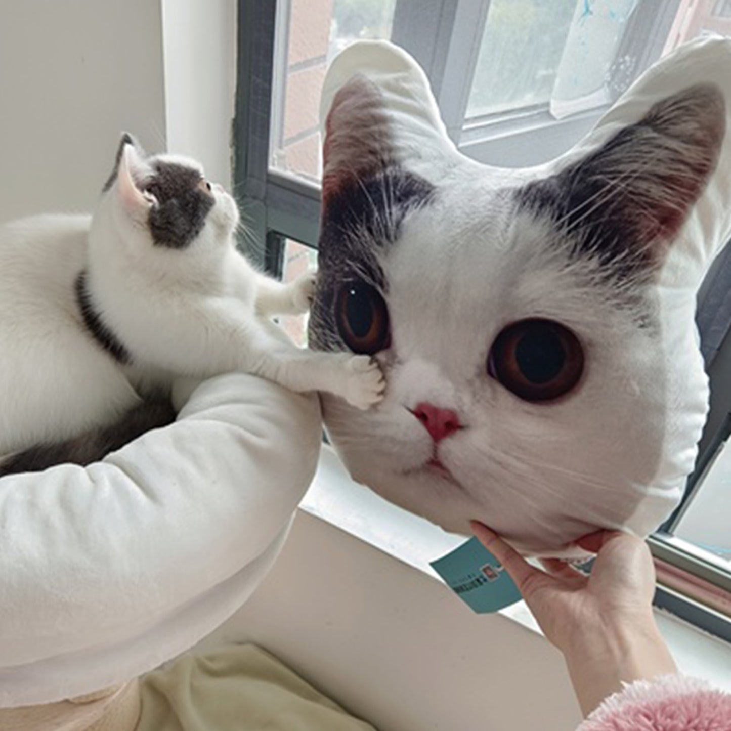 A cat holds a throw pillow with a custom-made pillowcase from its photo of face, with its arms outstretched from the edge of its litter box.