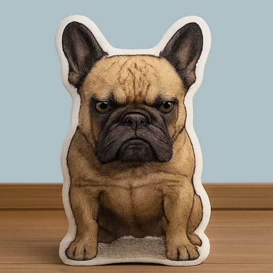 Custom Dog Pillow