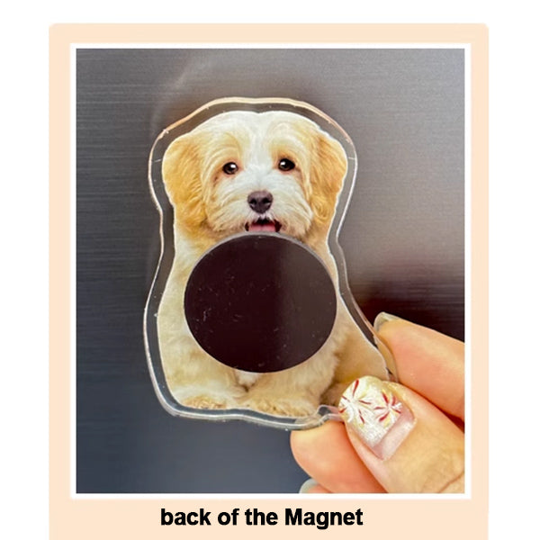 Custom Fridge Magnets, Personalized Magnets